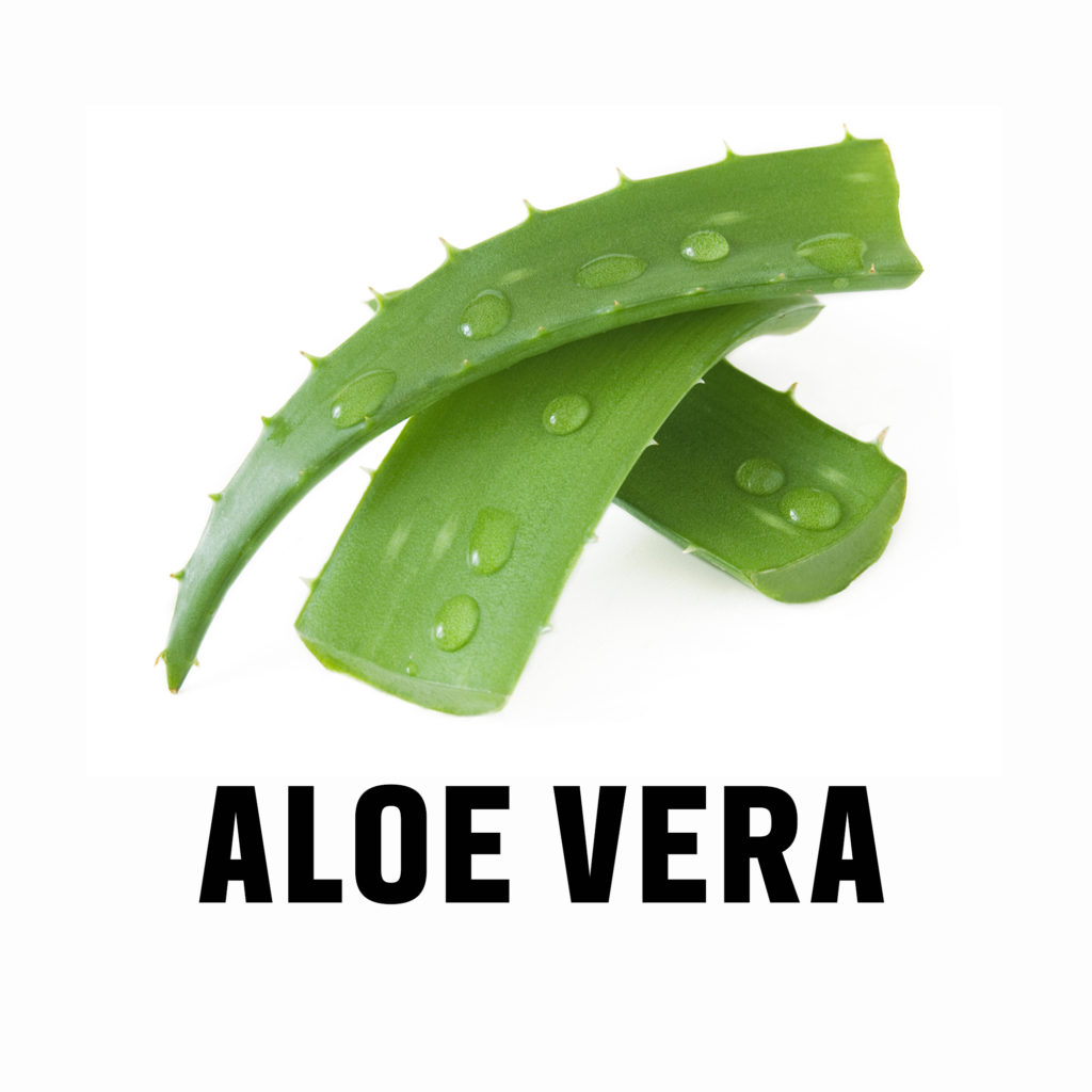 Aloe Vera in Custom Lip Balm with Personalized Label by CustomWorthyPromo.com